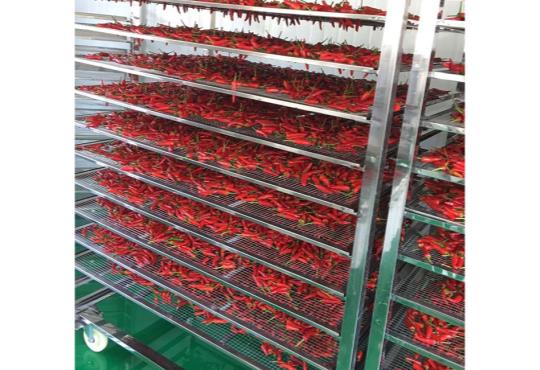 Hubei pepper drying(2)